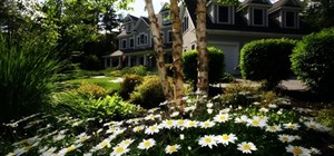 Homeowners Should be Bracing for Hiking Interest Rates 